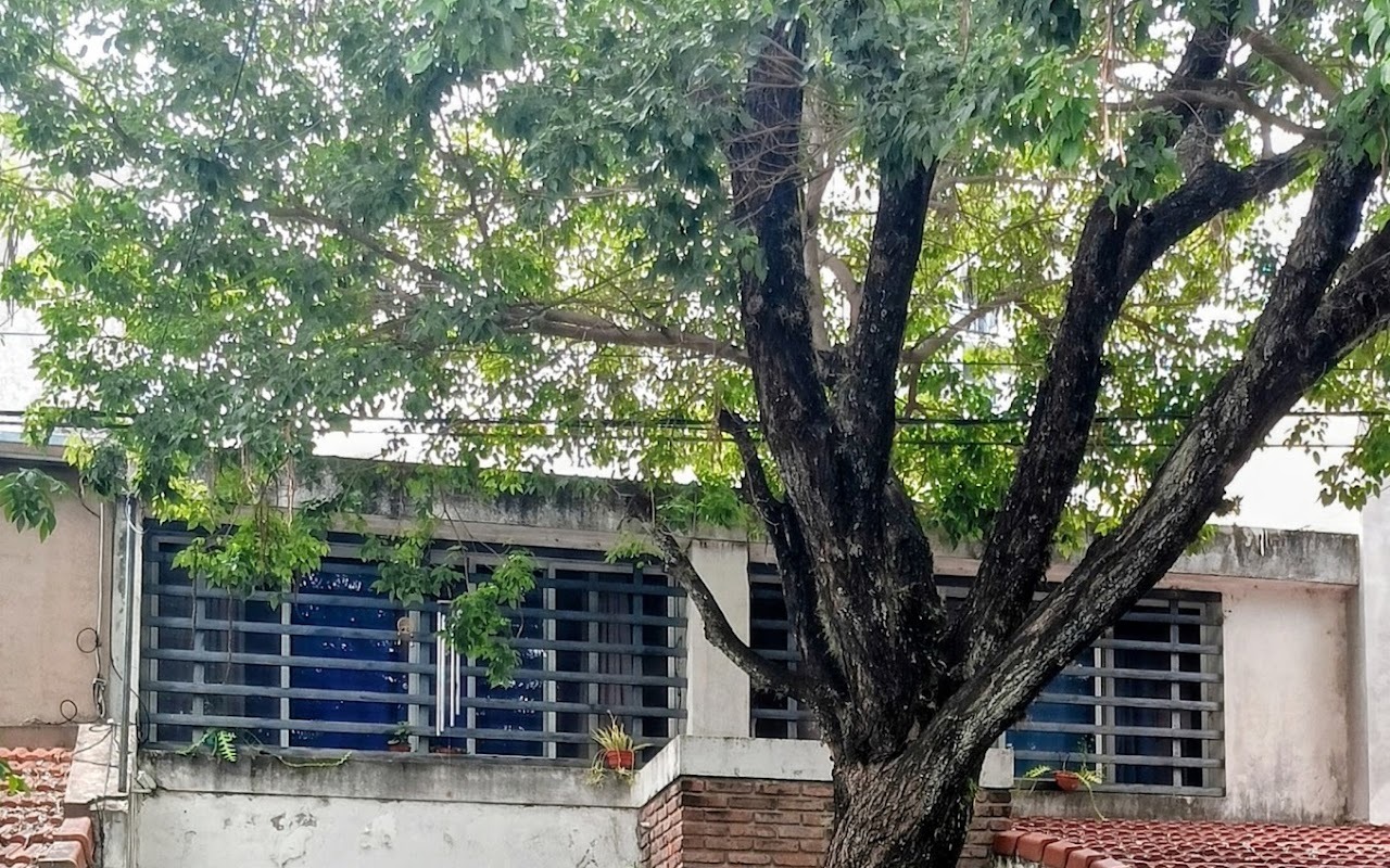 Nuestro espacio en Panamá 762, Paraná